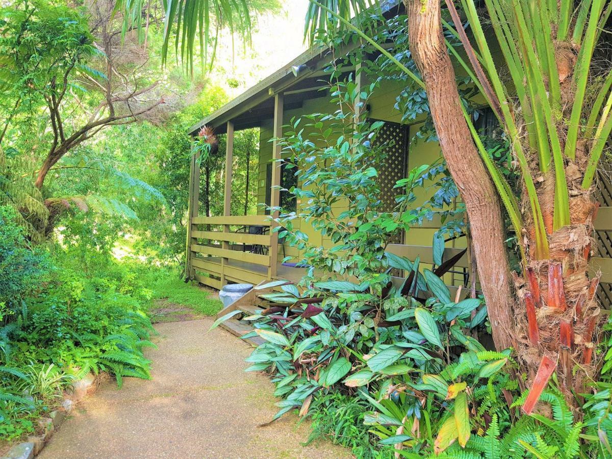 Broken River Mountain Resort Eungella Extérieur photo
